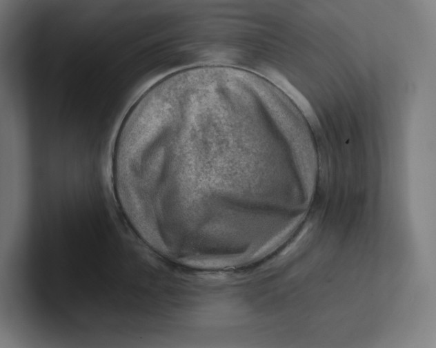 X0000102010956200808011140