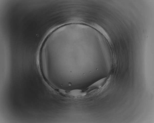 X0000102010958200808011140