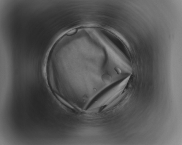 X0000102010959200808011140