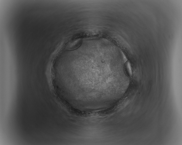 X0000102010961200808011139