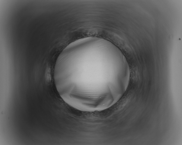 X0000102010962200808011139