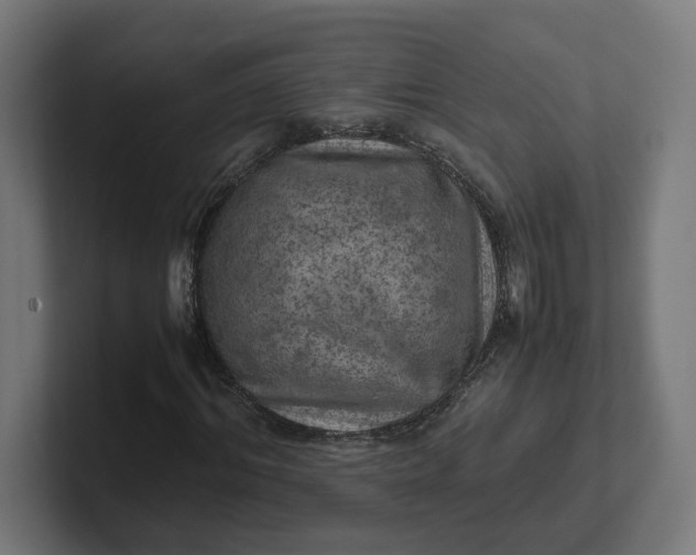 X0000102010964200808011139