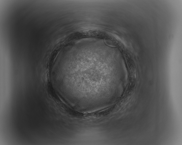 X0000102010965200808011139