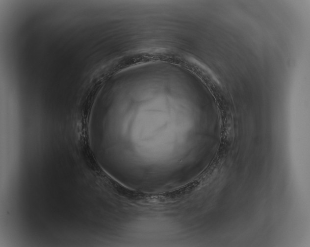 X0000102010966200808011139