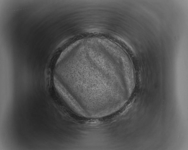 X0000102010968200808011139