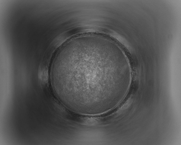 X0000102010969200808011139