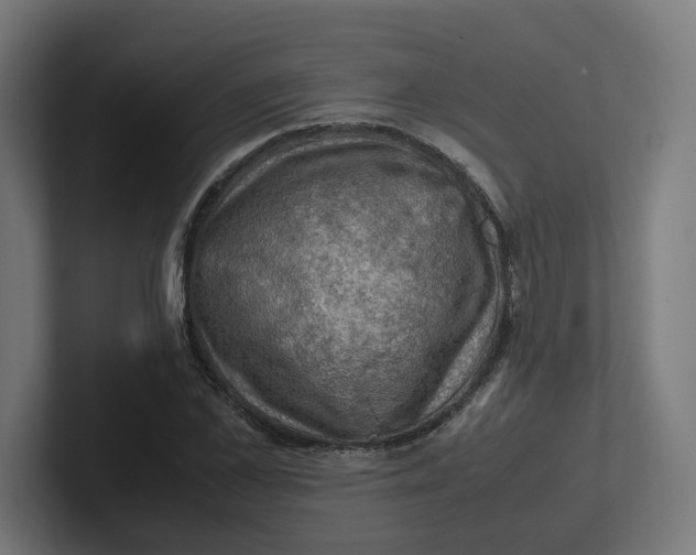 X0000102010973200808011139