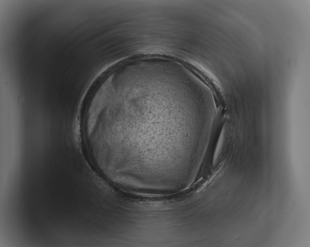 X0000102010976200808011139