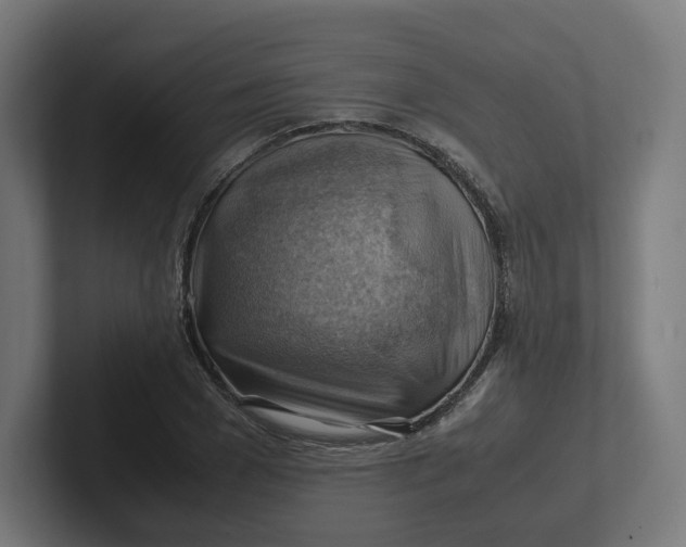 X0000102010977200808011139