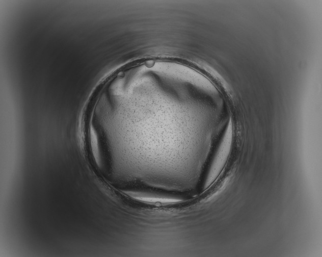 X0000102010981200808011139