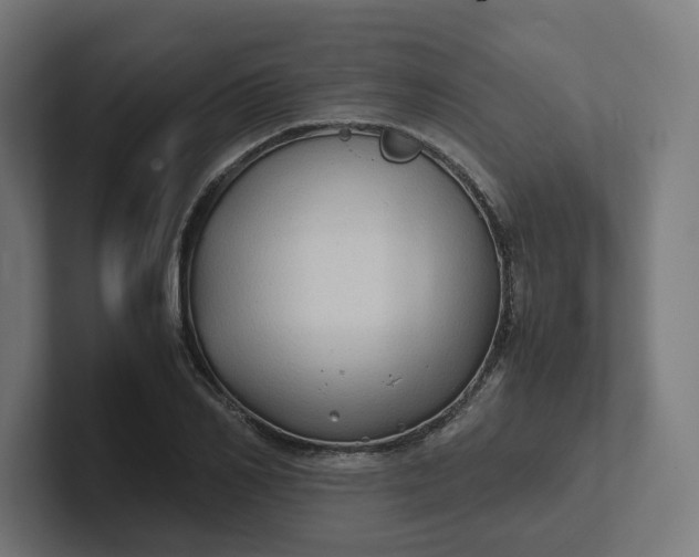 X0000102010982200808011139