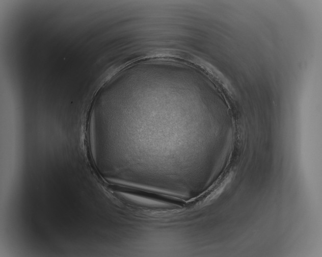 X0000102010985200808011139