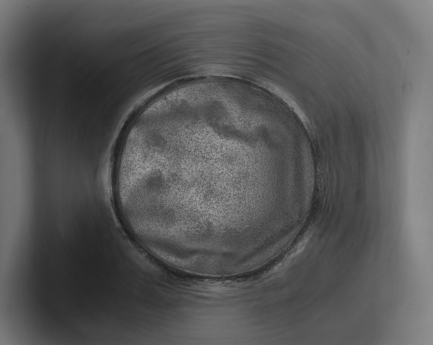 X0000102010987200808011139