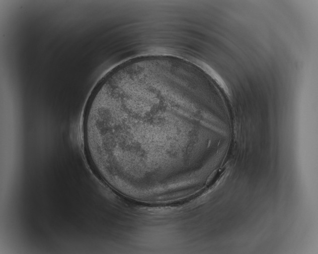 X0000102010988200808011139