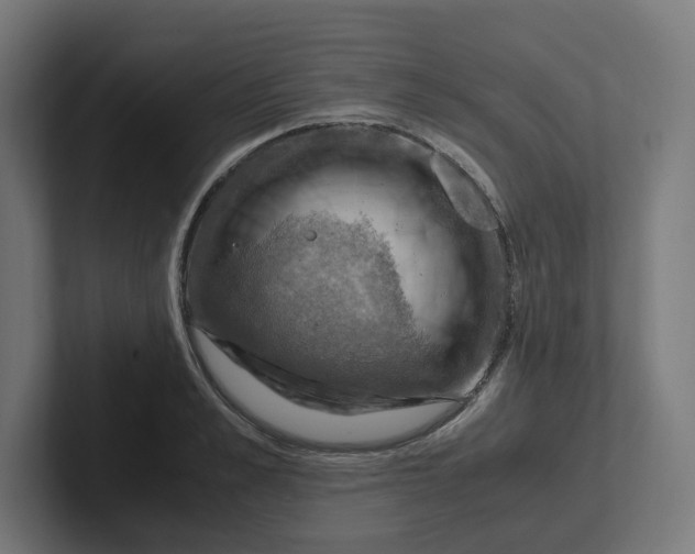 X0000102010989200808011139