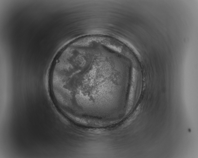 X0000102010991200808011139