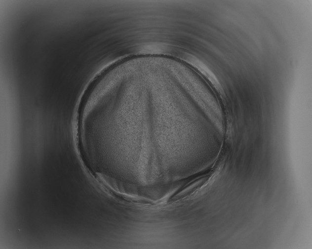 X0000102010992200808011139