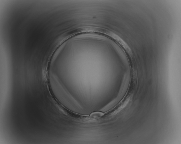 X0000102010993200808011139