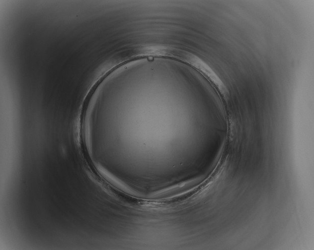 X0000102010994200808011139