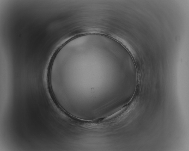 X0000102010995200808011139