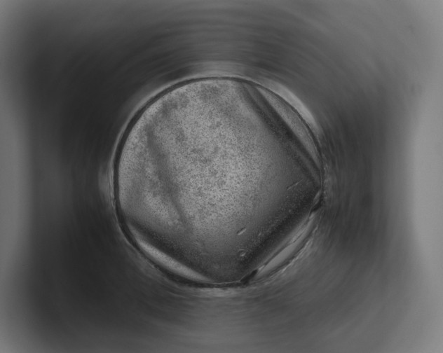 X0000102010996200808011139