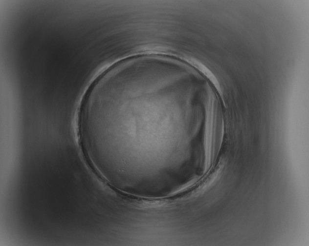 X0000102010997200808011139