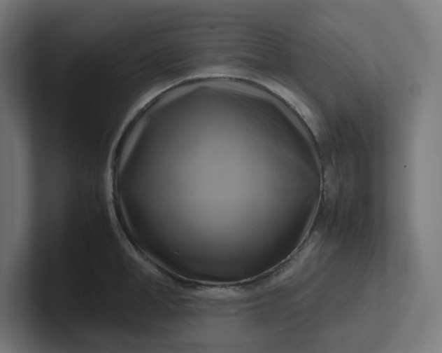 X0000102010998200808011139