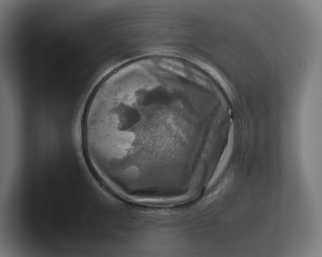 X0000102010999200808011139