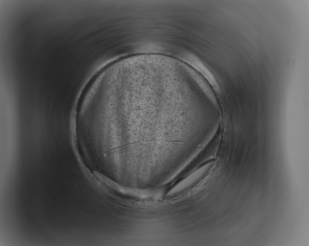 X0000102011000200808011139