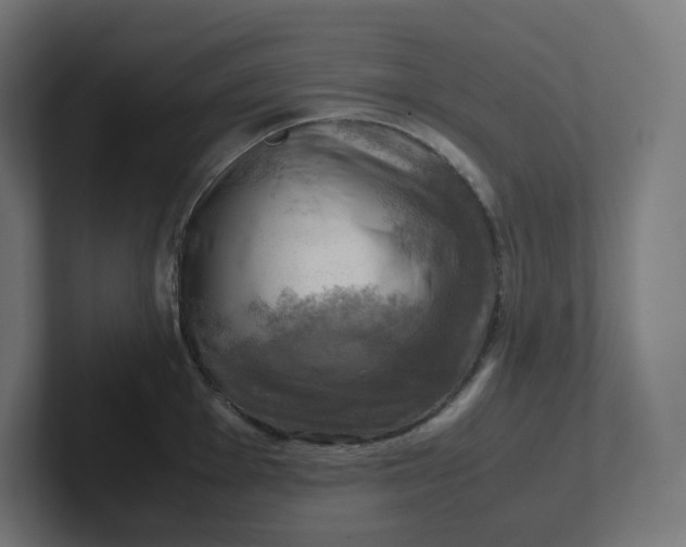 X0000102011001200808011139