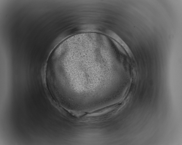 X0000102011002200808011139