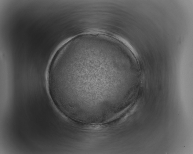 X0000102011003200808011139