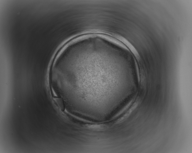 X0000102011004200808011139