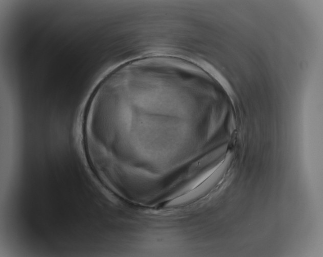 X0000102011005200808011139