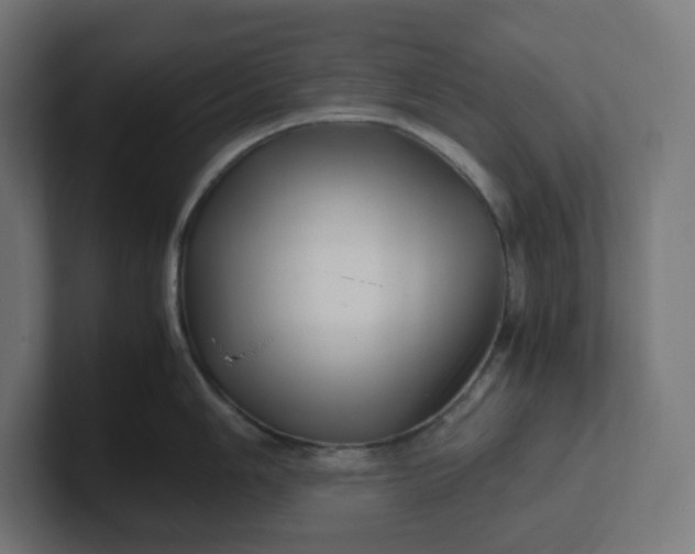 X0000102011006200808011138