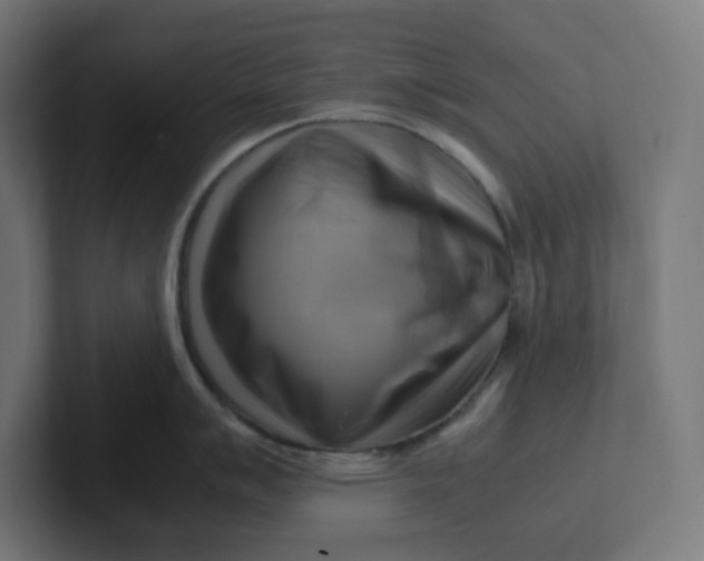 X0000102011007200808011138