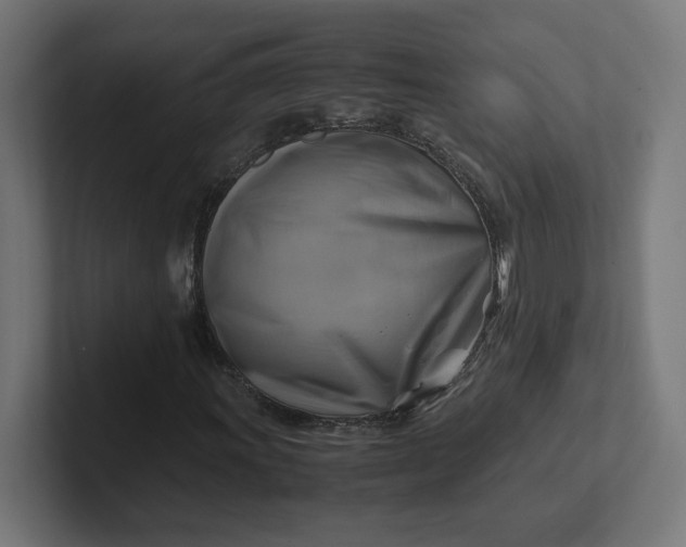 X0000102011011200808011138