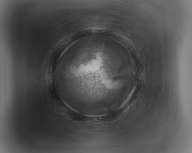 X0000102011014200808011138