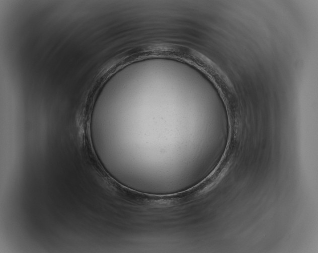 X0000102011017200808011138