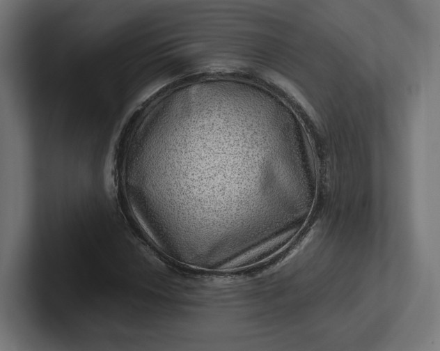 X0000102011018200808011138