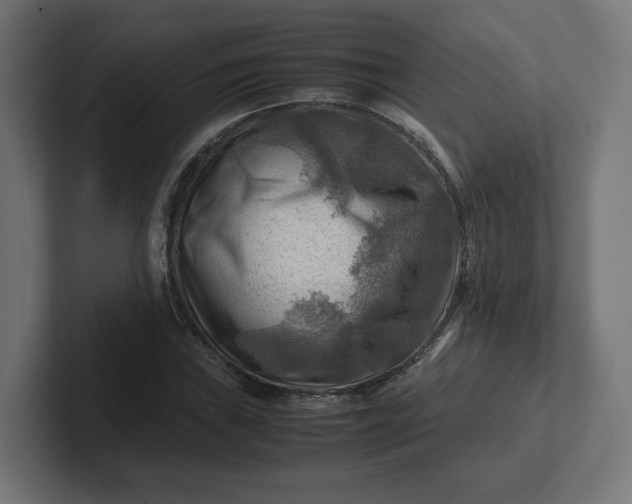 X0000102011019200808011138