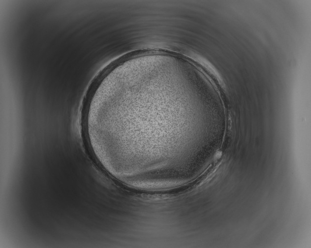 X0000102011020200808011138