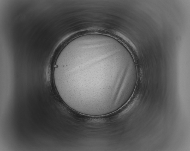 X0000102011021200808011138