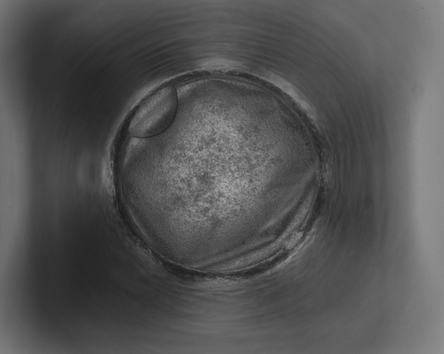 X0000102011022200808011138