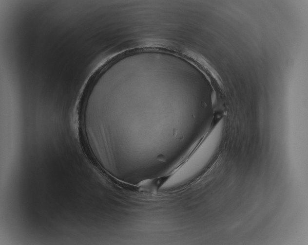 X0000102011024200808011138