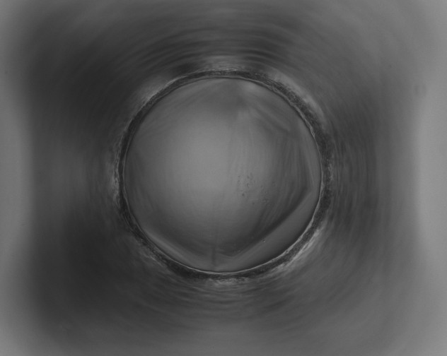 X0000102011025200808011138