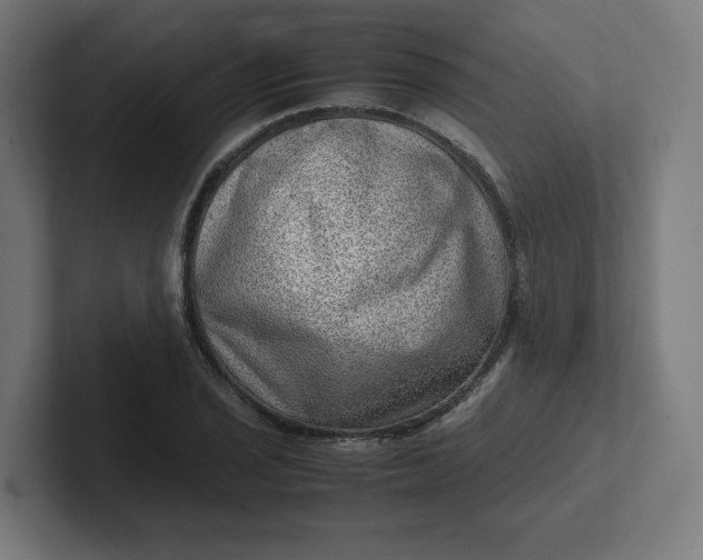 X0000102011029200808011138