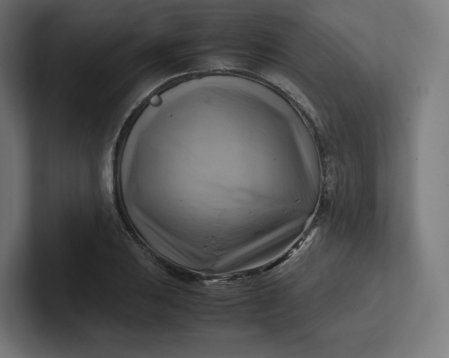 X0000102011031200808011138