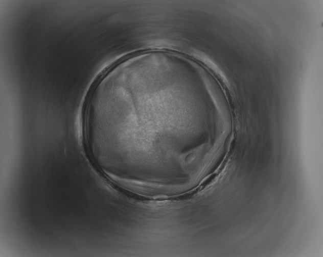 X0000102011032200808011138