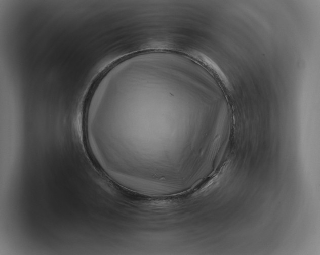 X0000102011035200808011138